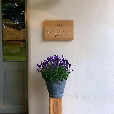 Loft Naturalpina Dolomiti Farm Apartamento