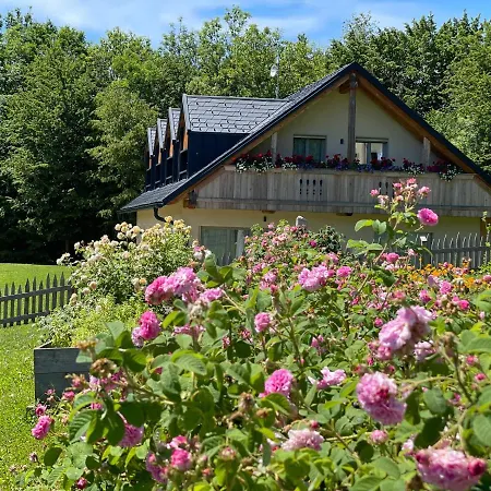 Loft Naturalpina Dolomiti Farm Apartamento